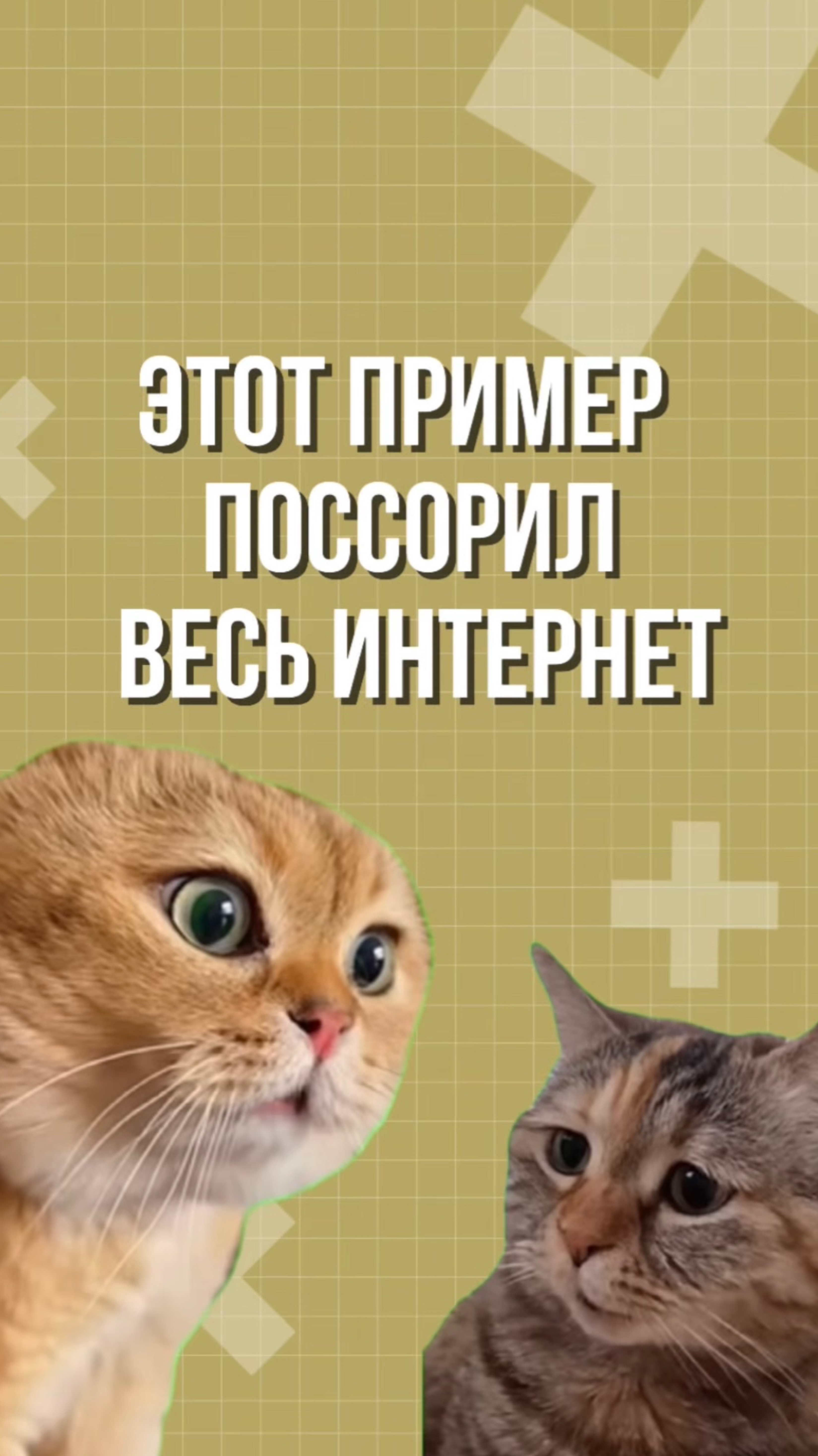 «Пифагоровы штаны» — с нами ваш ребенок полюбит математику! смотреть онлайн