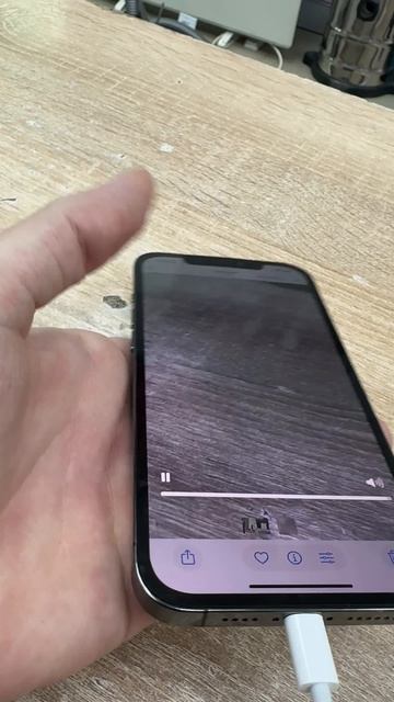 IMG_3622 смотреть онлайн