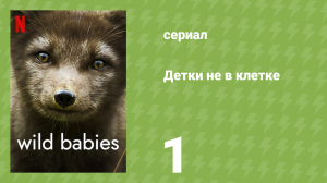 Детки не в клетке 1 серия «Новички» (документальный сериал, 2022)