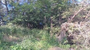 Рыбалка в родных местах