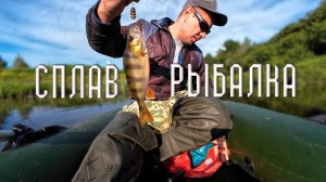 Сплав-рыбалка в дебрях Ярославской области.