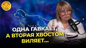 Как найти своего мужчину и настоящую любовь