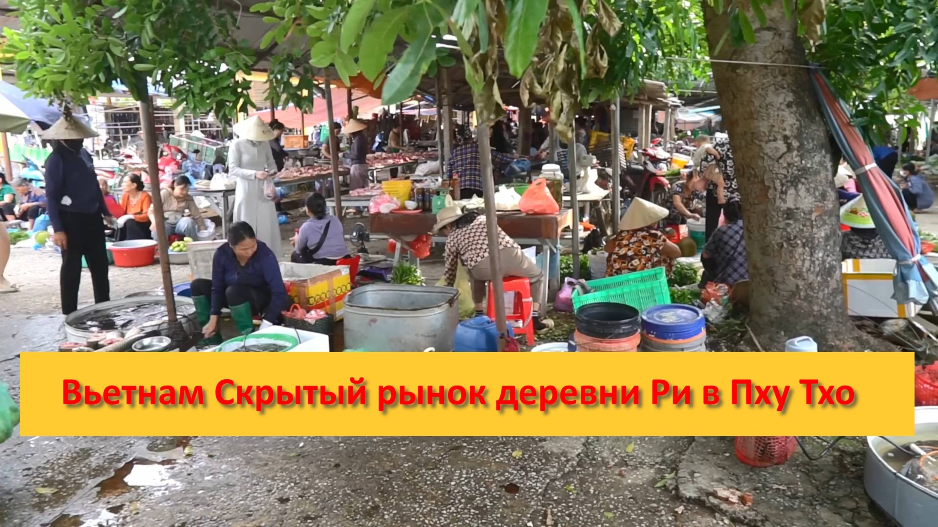 Вьетнам Скрытый рынок деревни Ри в Пху Тхо