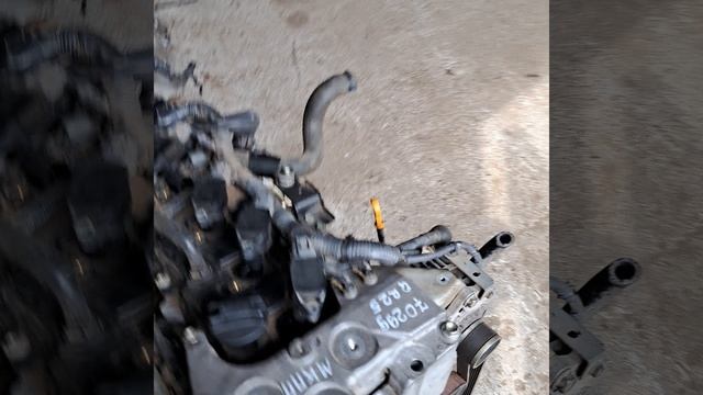 1000279767.mp4 t31 mkpp 2.5 смотреть онлайн