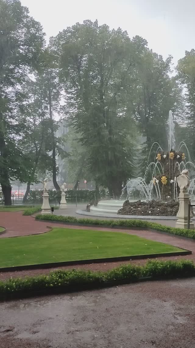 Питер. Дождь в Летнем саду