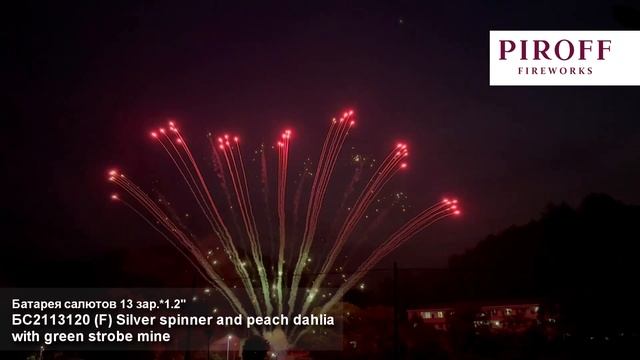 БС2113120 1,2". 13 зар. Silver spinner and peach dahlia with смотреть онлайн