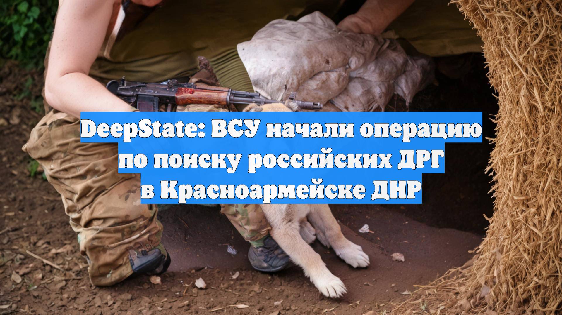 DeepState: ВСУ начали операцию по поиску российских ДРГ в Красноармейске ДНР