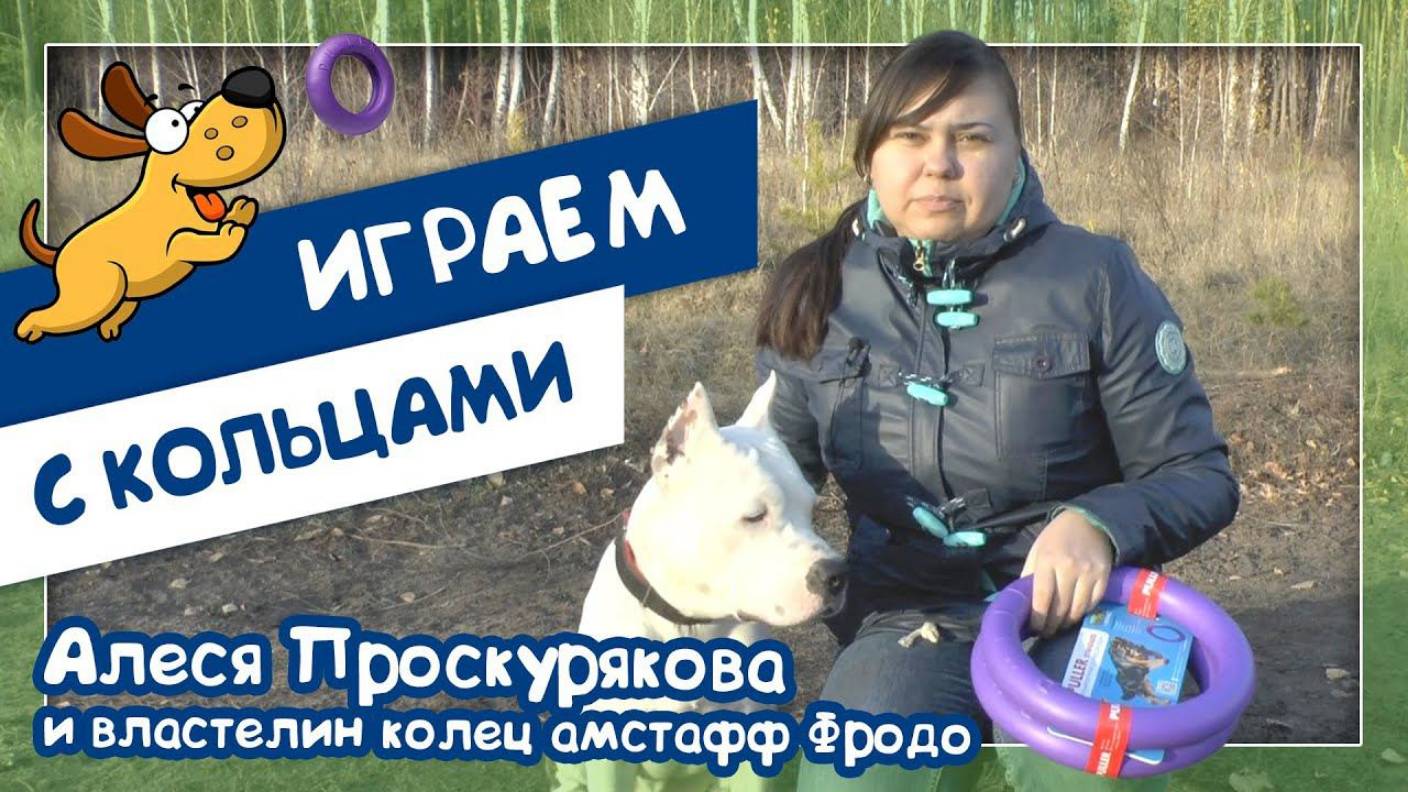 Играем с кольцами (Алеся Проскурякова и амстафф по кличке Фродо)
