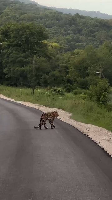 Неожиданная встреча смотреть онлайн