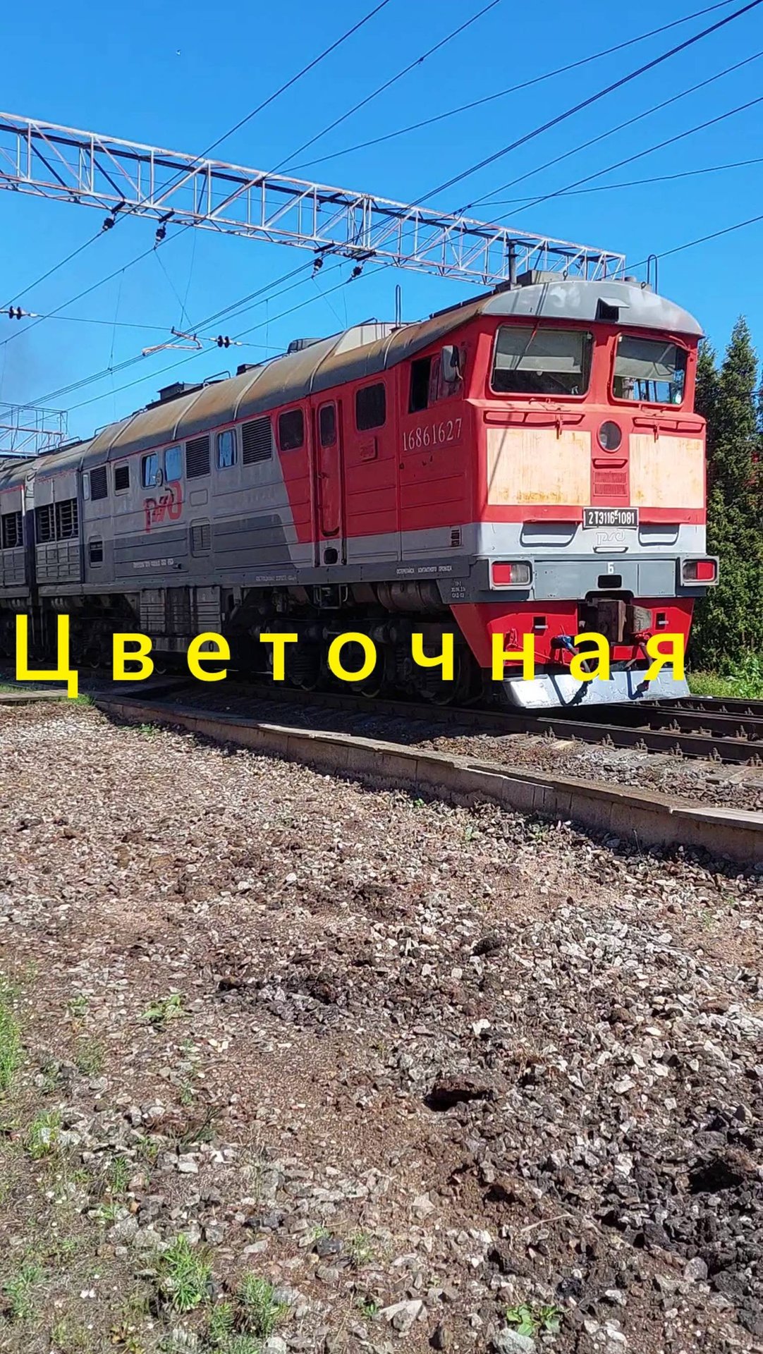 Лучшее вертикальное видео со станции Цветочкая смотреть онлайн