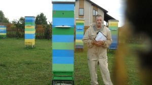 Замена маток у меня на пасеке. Часть 5. Итоги.