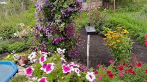 22-07-2025 Жизнь в деревне 🏠.