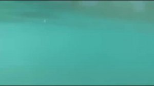 Полное погружение в море, где самые вкусные чебуреки и карамельное пиво в Лазаревском.