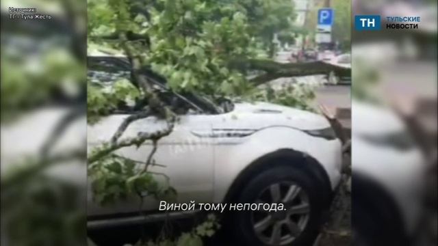 В Туле упавшее дерево повредило несколько авто смотреть онлайн