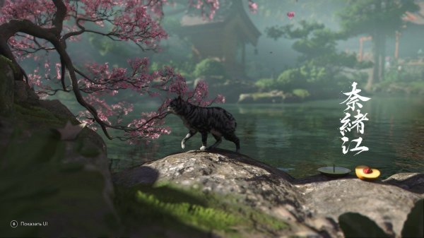 Assassin's Creed Shadows Исследуем