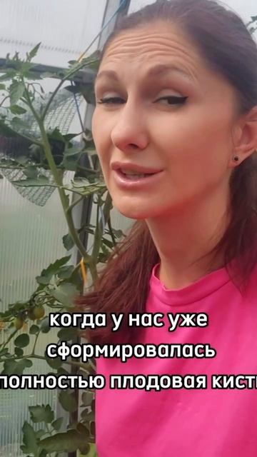 Совет по удалению листьев у томатов смотреть онлайн