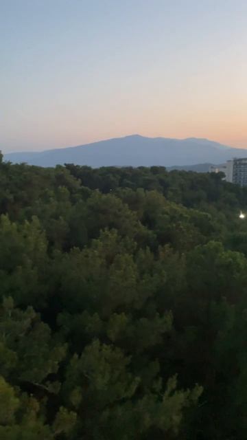 Утро в Пицундской бухте…