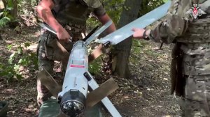 🎯 Эффективная работа «Ланцетов»