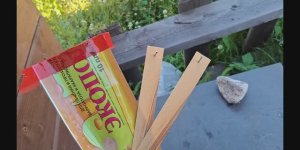 Как работает Экопол против клеща варроа