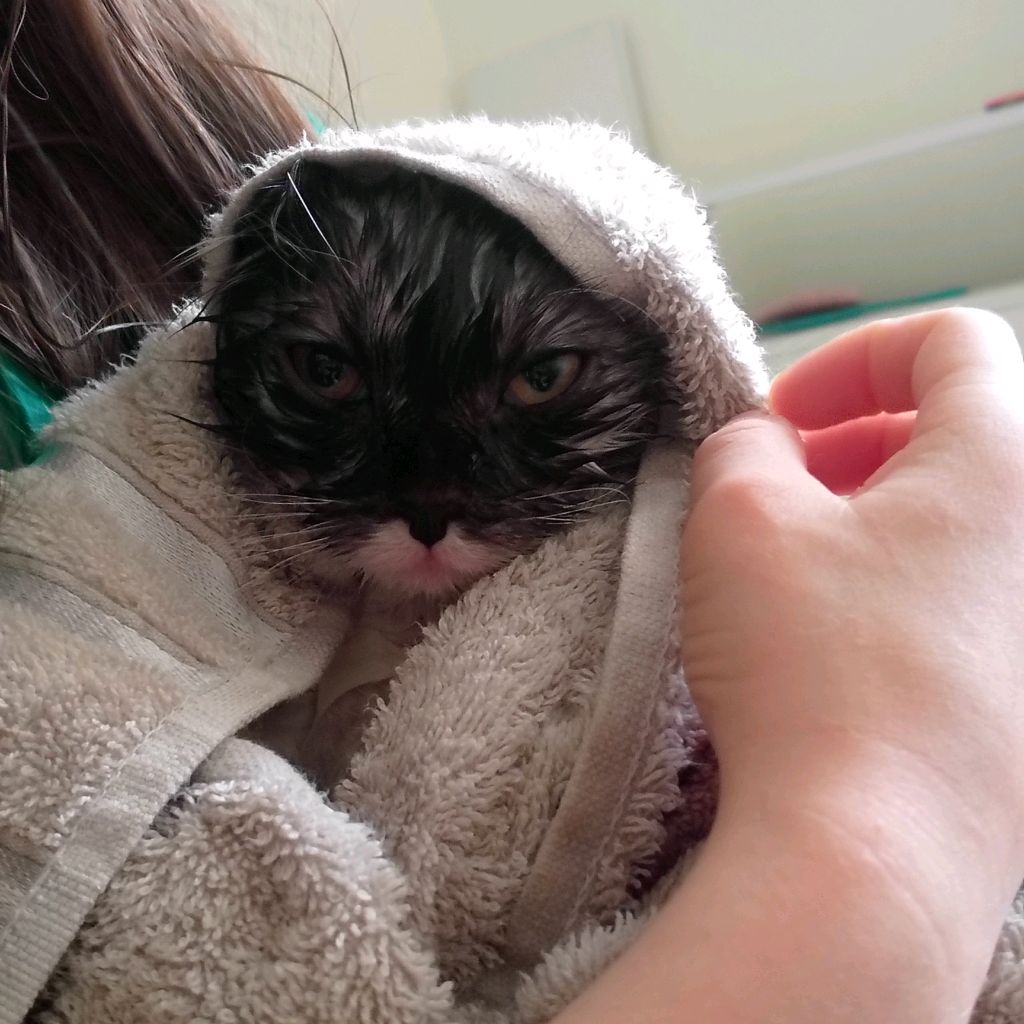 Никита Литовченко