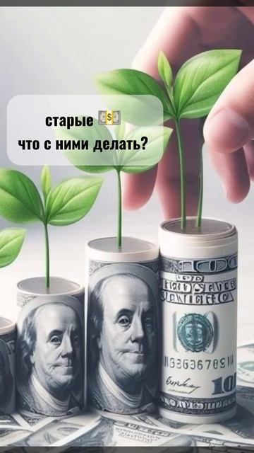 Доллары старого образца: что делать? 💵