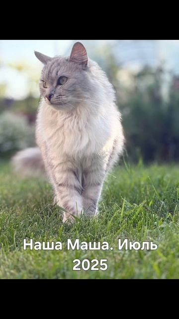 Наша Маша. Июль 2025.