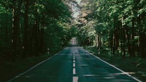 Chill Liquid DNB #12  Smooth Vocals & Rolling Bass