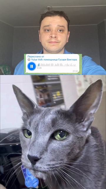 Для записи на консультацию пишите нашему менеджеру в телеграмм @aibolitcom