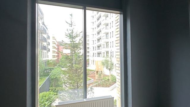 1000068571.mp4 смотреть онлайн