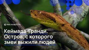 Кеймада-Гранди. Остров, с которого змеи выжили людей