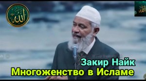 Многоженство в Исламе