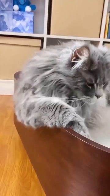 Чудеса Генетики смотреть онлайн