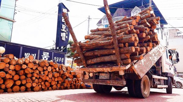 МАСТЕРА СВОЕГО ДЕЛА, САМЫЕ БЫСТРЫЕ И ПРИЧУДЛИВЫЕ РАБОТНИКИ #100 #Lucky_Tech