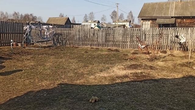 Penguin №11 Scary Disney