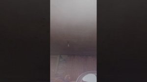 продолжение