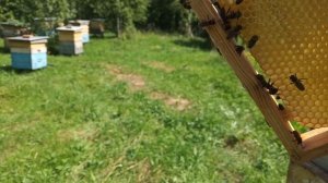 Что же в верхних магазинных надставках ? Делаем отводки .