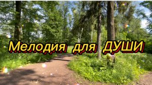 Прекрасное фортепиано, красивая инструментальная музыка. Мелодия для души