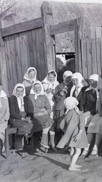 Ностальгия! Эту песню пели ещё сто лет назад ( Избушка)) смотреть онлайн