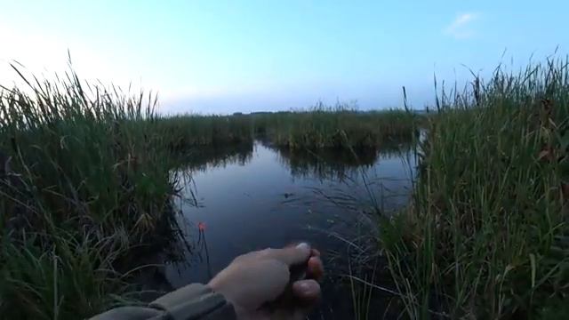 Ловля карася на маховую поплавочную удочку смотреть онлайн