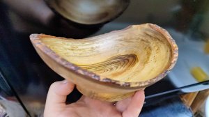 Овальная фруктовая тарелка из камфорного лавра с живым краем.