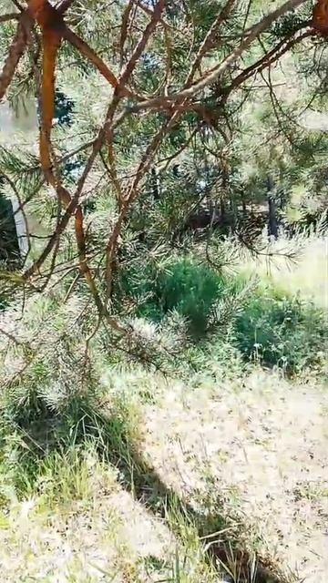 Безмятежный полдень смотреть онлайн