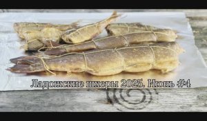 Ладожские шхеры 2025. Июнь #4