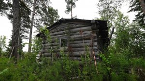 Хариус на каждый заброс. Попал в сильный дождь. Огромный окунь и плотва на мушку.