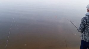 Советы начинающим рыбакам и любителям