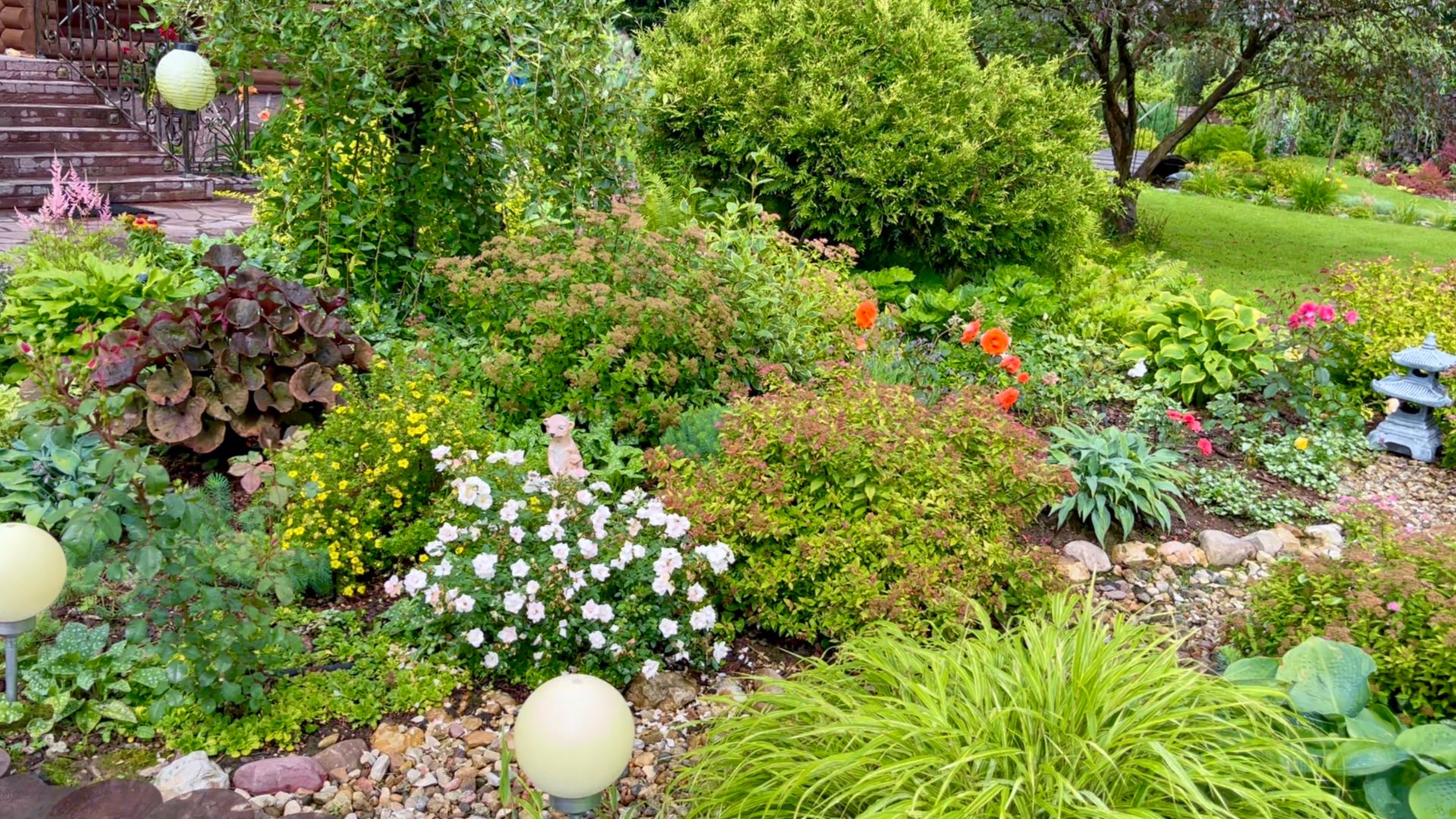 Розы / лаванда / вейгела / лапчатка / спиреи и др. Южная сторона большой клумбы. Дождливый июль. смотреть онлайн