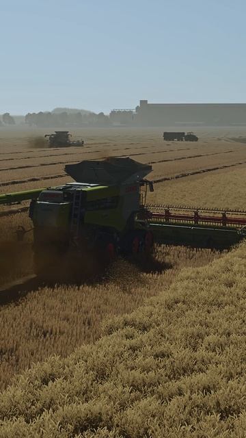 FS25 Relax уборка пшеницы Claas Lexion 8900 #fs25 #mods #lexion #clondike смотреть онлайн