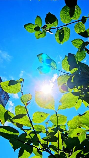 есть чувство к прекрасному у тебя ?.mp4