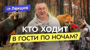 Как не привлечь дикого зверя в лагерь? Михаил Кречмар
