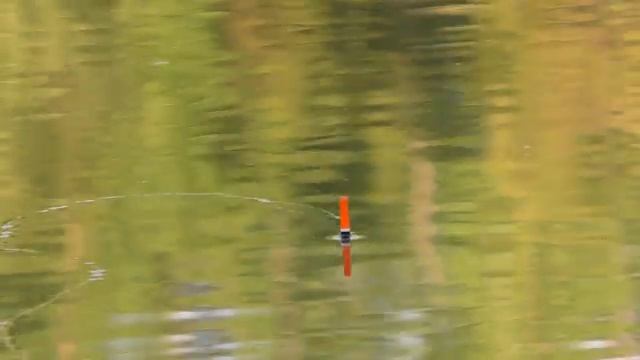 Ловля на маховую удочку смотреть онлайн