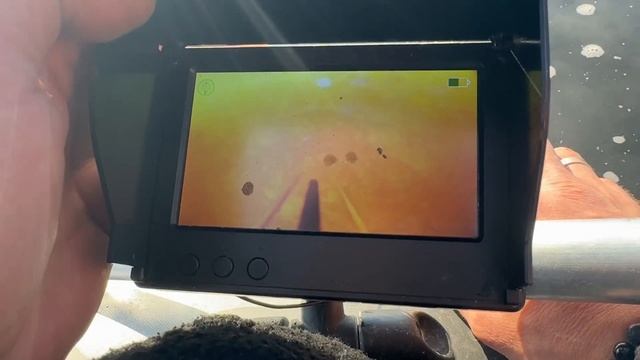 Атмосферная Рыбалка с Друзьями